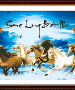 song-long-bat-ma-H739