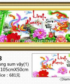 Tranh dinh da EVA-61068