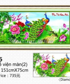 Tranh dinh da EVA-61095