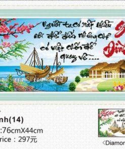 Tranh dinh da  EVA-61294