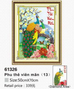 61326-tranh-gan-da-chim-cong-anh-nguon-kadoza-com