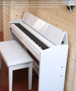 Đàn Piano Điện KL801 88 Phím Kỹ Thuật Số