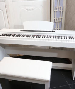 Đàn Piano Điện KL815 Kỹ Thuật Số 88 Phím