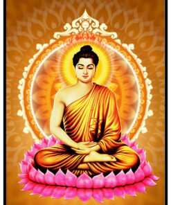 Phat Thich Ca Mau Ni-KVS482