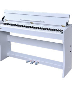dan-piano-dien-DP-2100