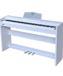 dan-piano-dien-DP-2200