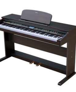 dan-piano-dien-DP-3000