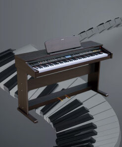 dan-piano-dien-DP-3000-anh2