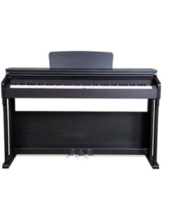 dan-piano-dien-DP-3100-kadoza-2