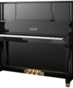 Carrod-S6-S-Piano