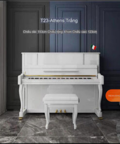 Piano-co-carod-S23-S
