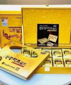 Đông trùng hộp gỗ vàng Kangwha