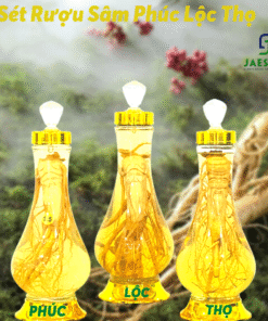 Sét Rượu Sâm Phúc Lộc Thọ
