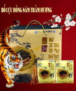 Nước  bổ lực hồng sâm trầm hương