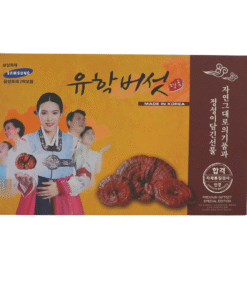 NẤM LINH CHI CÔ GÁI HÀN QUỐC