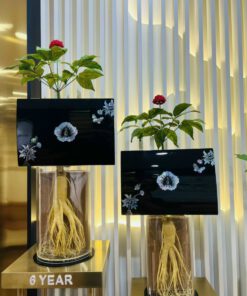 Thiên Sâm Tẩm Mật Ong Phủ Vàng 24k