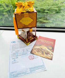 ĐÔNG TRÙNG HẠ THẢO