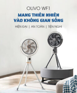 QUẠT SẠC OLIVO WF1