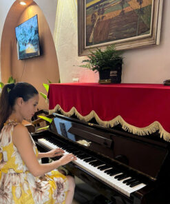piano-nhat-steinrich-anh-kadoza-11